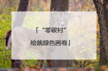 “零碳村” 绘就绿色画卷