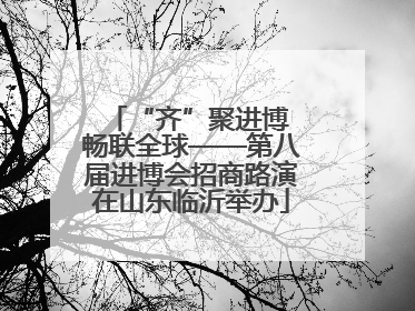 “齐”聚进博 畅联全球——第八届进博会招商路演在山东临沂举办