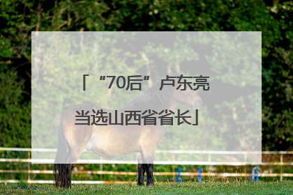 “70后”卢东亮当选山西省省长