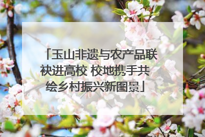 玉山非遗与农产品联袂进高校 校地携手共绘乡村振兴新图景