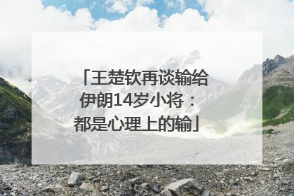 王楚钦再谈输给伊朗14岁小将：都是心理上的输