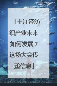 王江泾纺织产业未来如何发展？这场大会传递信息