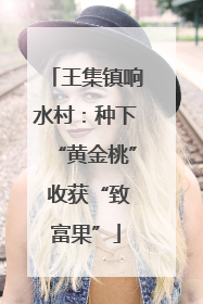 王集镇响水村：种下“黄金桃” 收获“致富果”