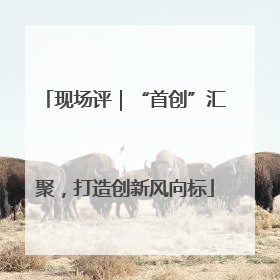 现场评｜“首创”汇聚，打造创新风向标