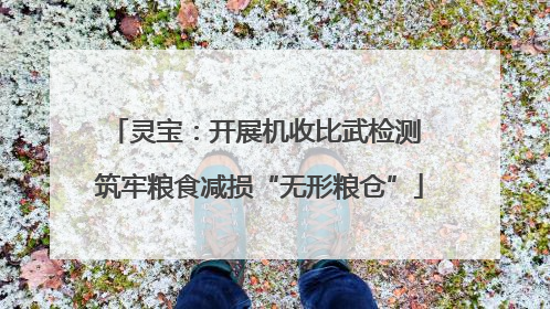 灵宝：开展机收比武检测 筑牢粮食减损“无形粮仓”
