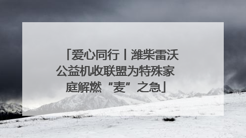 爱心同行丨潍柴雷沃公益机收联盟为特殊家庭解燃“麦”之急