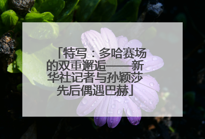 特写：多哈赛场的双重邂逅——新华社记者与孙颖莎先后偶遇巴赫