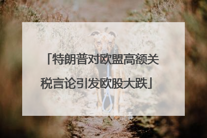 特朗普对欧盟高额关税言论引发欧股大跌