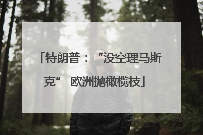 特朗普：“没空理马斯克” 欧洲抛橄榄枝