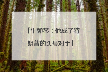 牛弹琴：他成了特朗普的头号对手