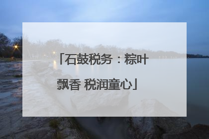 石鼓税务：粽叶飘香 税润童心