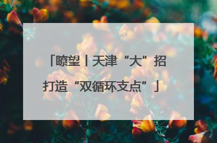 瞭望丨天津“大”招打造“双循环支点”