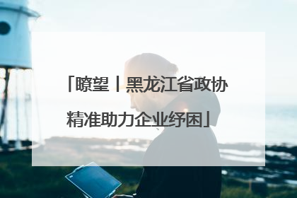 瞭望丨黑龙江省政协精准助力企业纾困