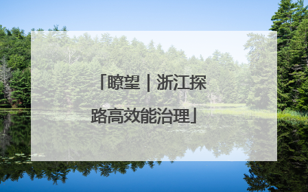 瞭望｜浙江探路高效能治理