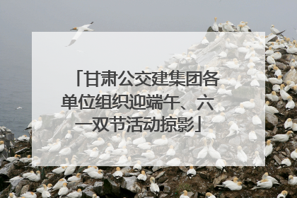 甘肃公交建集团各单位组织迎端午、六一双节活动掠影