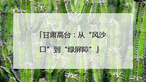 甘肃高台：从“风沙口”到“绿屏障”