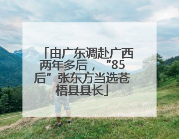 由广东调赴广西两年多后，“85后”张东方当选苍梧县县长