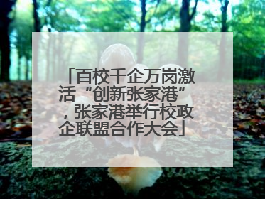 百校千企万岗激活“创新张家港”，张家港举行校政企联盟合作大会