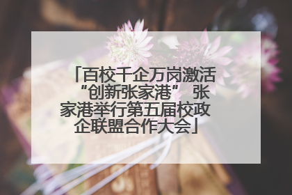 百校千企万岗激活“创新张家港” 张家港举行第五届校政企联盟合作大会