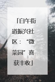白午街道振兴社区：“微菜园”喜获丰收