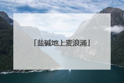 盐碱地上麦浪涌