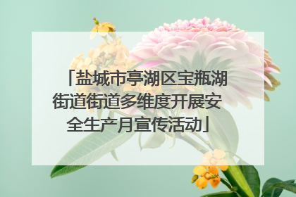 盐城市亭湖区宝瓶湖街道街道多维度开展安全生产月宣传活动