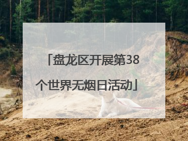 盘龙区开展第38个世界无烟日活动