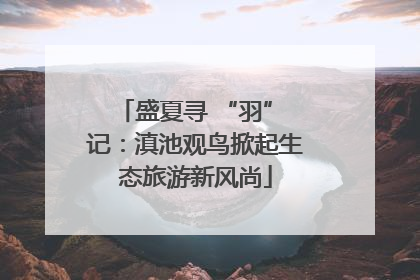盛夏寻 “羽” 记：滇池观鸟掀起生态旅游新风尚