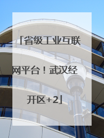 省级工业互联网平台！武汉经开区+2