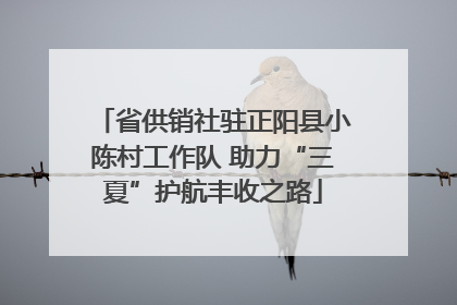 省供销社驻正阳县小陈村工作队 助力“三夏”护航丰收之路