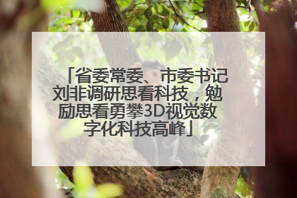 省委常委、市委书记刘非调研思看科技，勉励思看勇攀3D视觉数字化科技高峰