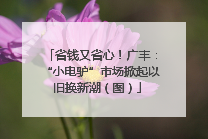 省钱又省心！广丰：“小电驴”市场掀起以旧换新潮（图）