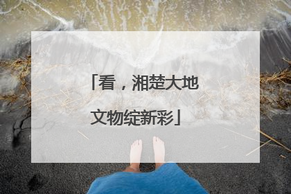 看，湘楚大地文物绽新彩