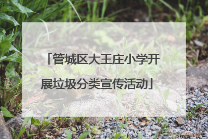 管城区大王庄小学开展垃圾分类宣传活动