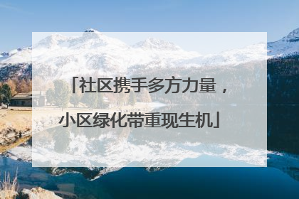 社区携手多方力量，小区绿化带重现生机