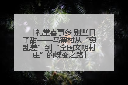 礼堂喜事多 别墅日子甜——马寨村从“穷乱差”到“全国文明村庄”的蝶变之路