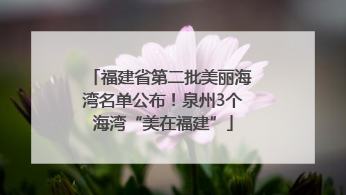 福建省第二批美丽海湾名单公布！泉州3个海湾“美在福建”
