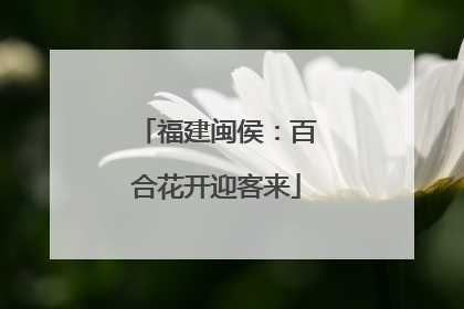 福建闽侯：百合花开迎客来