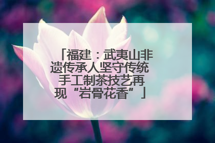福建：武夷山非遗传承人坚守传统 手工制茶技艺再现“岩骨花香”
