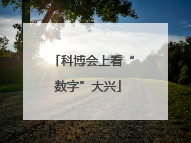 科博会上看“数字”大兴