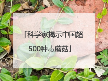 科学家揭示中国超500种毒蘑菇