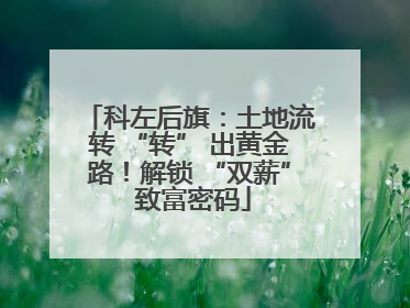 科左后旗：土地流转 “转” 出黄金路！解锁 “双薪” 致富密码