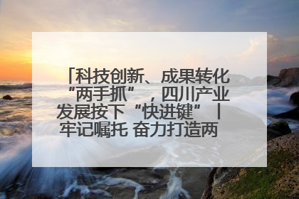 科技创新、成果转化“两手抓”，四川产业发展按下“快进键”丨牢记嘱托 奋力打造两高地两基地一屏障