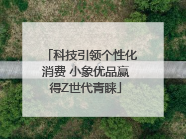科技引领个性化消费 小象优品赢得Z世代青睐