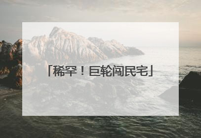 稀罕！巨轮闯民宅