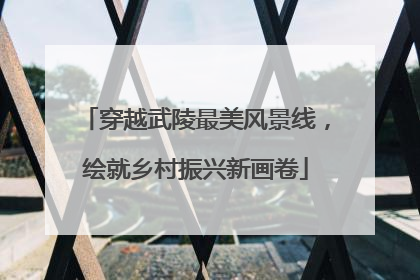 穿越武陵最美风景线，绘就乡村振兴新画卷
