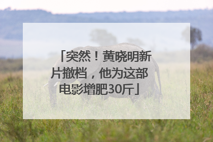 突然！黄晓明新片撤档，他为这部电影增肥30斤