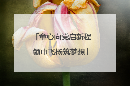 童心向党启新程 领巾飞扬筑梦想