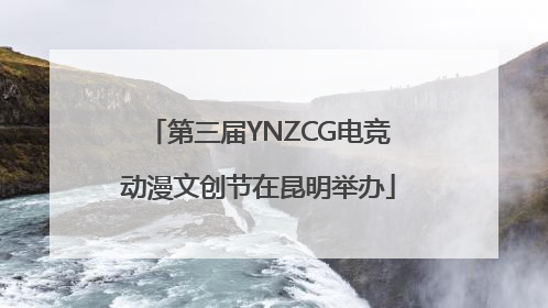 第三届YNZCG电竞动漫文创节在昆明举办