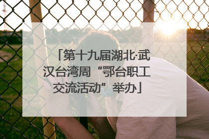 第十九届湖北·武汉台湾周“鄂台职工交流活动”举办